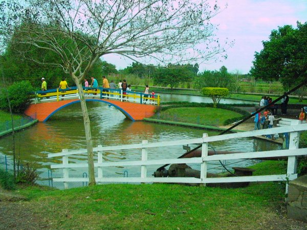 Imagens tiradas do município de Dona Francisca, Rio Grande do Sul, Brasil.