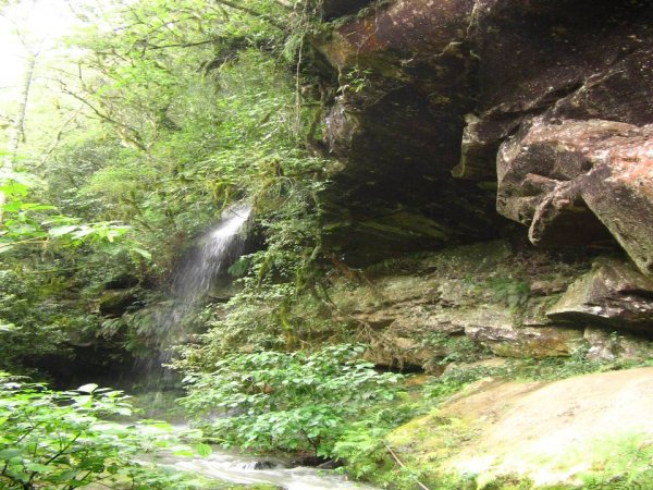 Imagens tiradas do município de Dona Francisca, Rio Grande do Sul, Brasil.