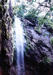 Imagens tiradas do município de Dona Francisca, Rio Grande do Sul, Brasil.