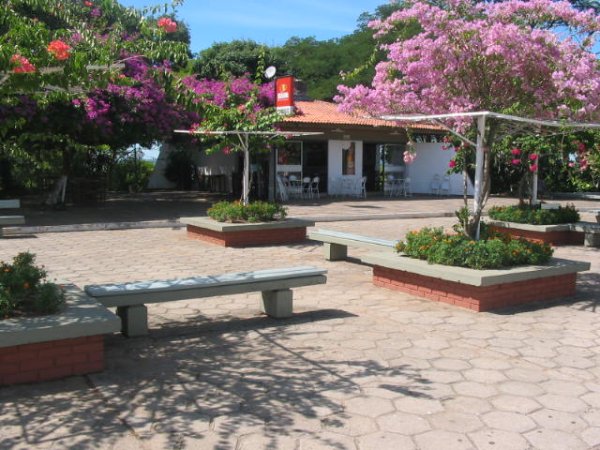 Imagens tiradas do município de Dona Francisca, Rio Grande do Sul, Brasil.