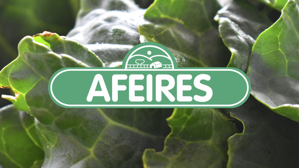 AFEIRES completa 10 anos com edição especial